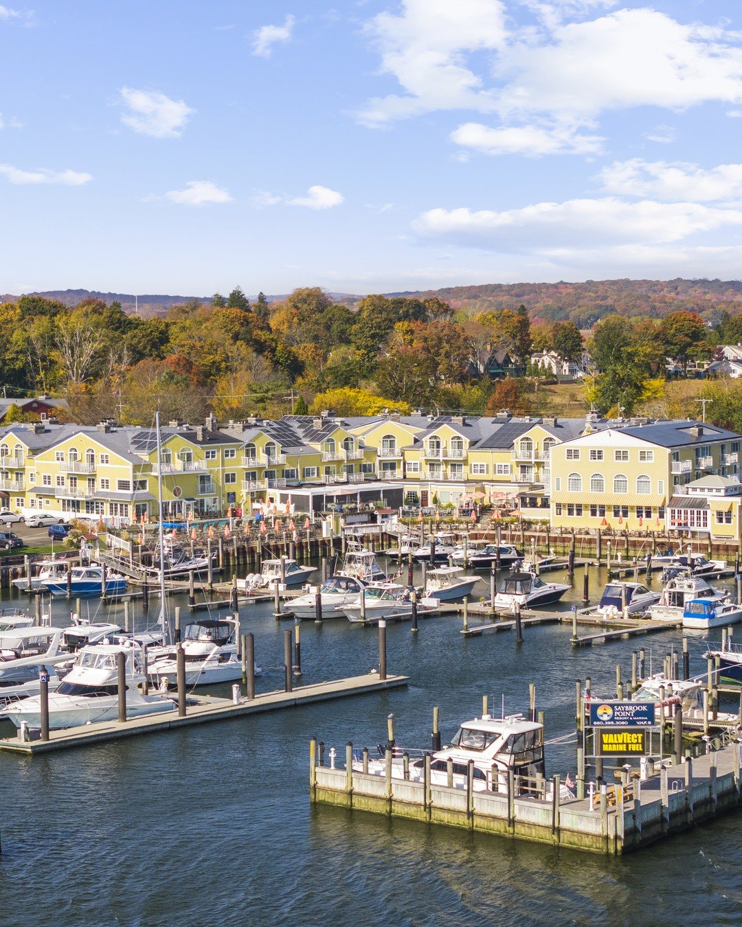 Saybrook Point Marina with boats docked at sunset